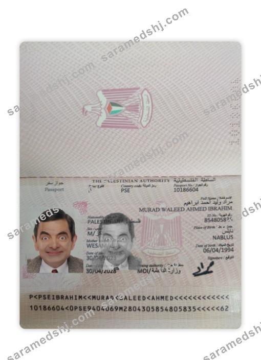 Palestine passport 2023-present